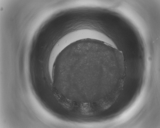 X0000061760382200512302310