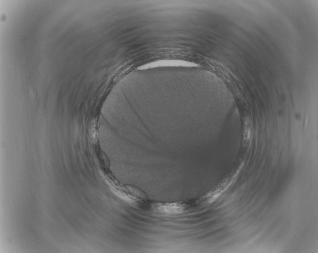 X0000061760383200512302310