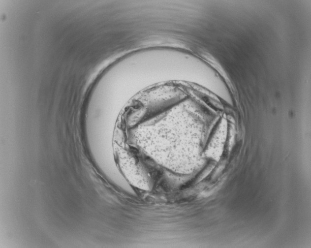 X0000061760387200512302309