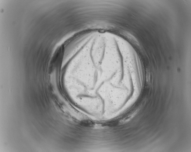 X0000061760388200512302309