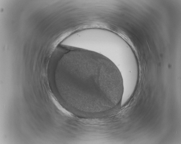 X0000061760389200512302309