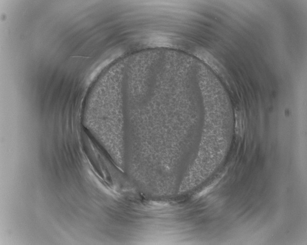 X0000061760390200512302309