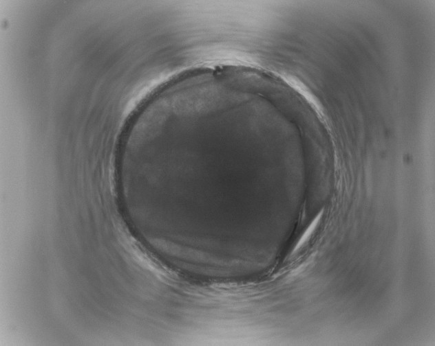 X0000061760391200512302309