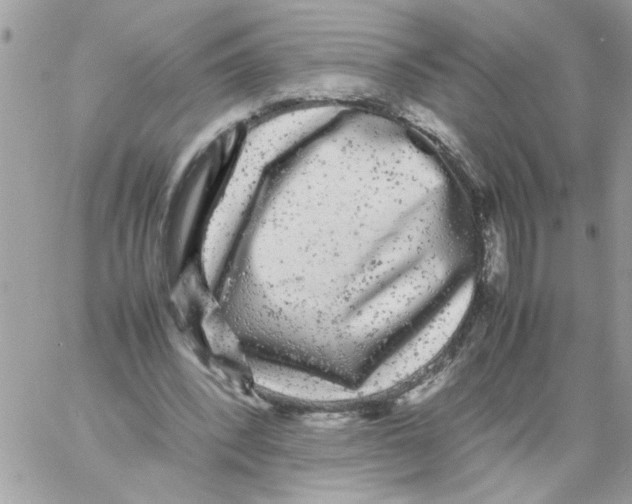 X0000061760392200512302309