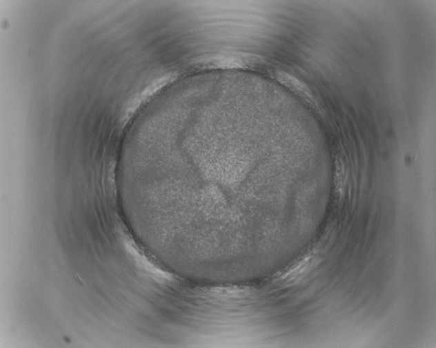 X0000061760394200512302309