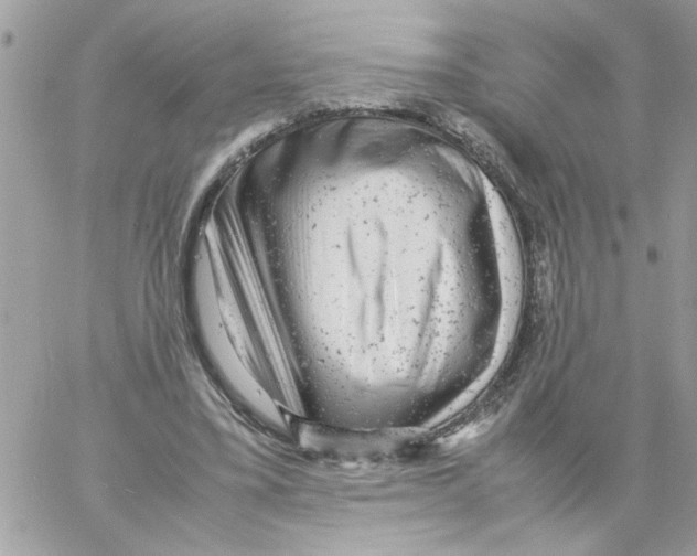 X0000061760395200512302309