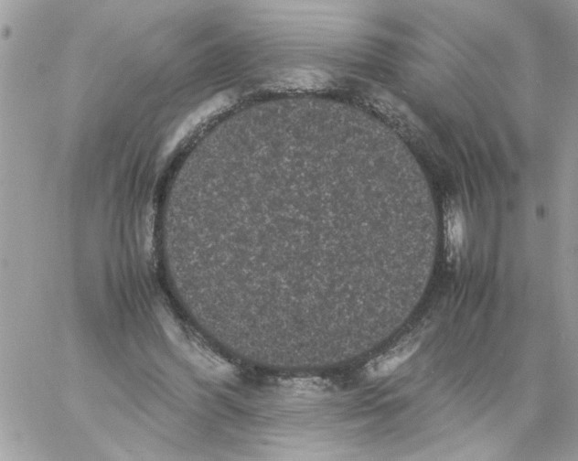 X0000061760396200512302309