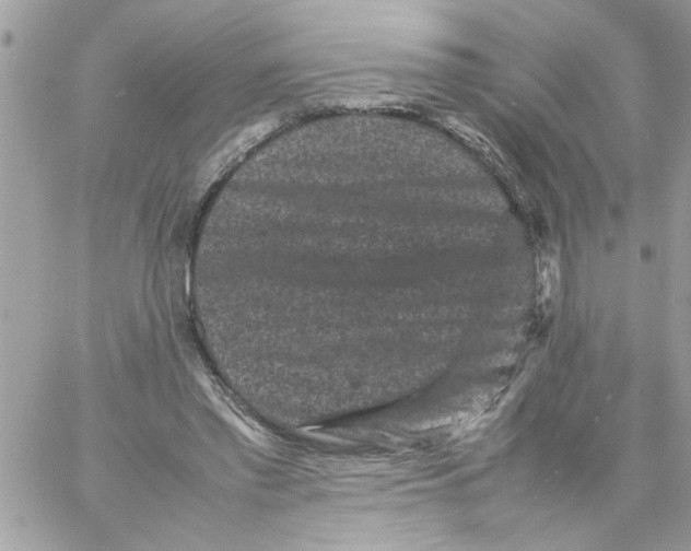 X0000061760397200512302309