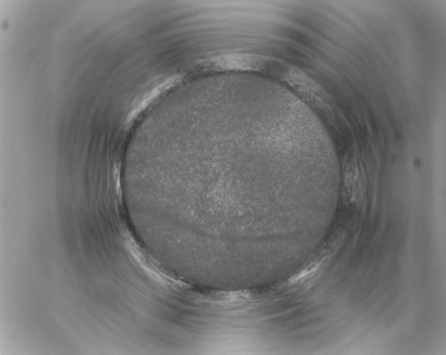 X0000061760398200512302309