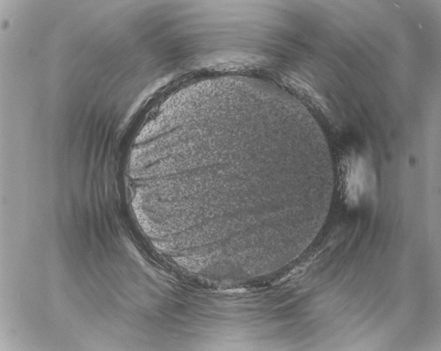 X0000061760400200512302309