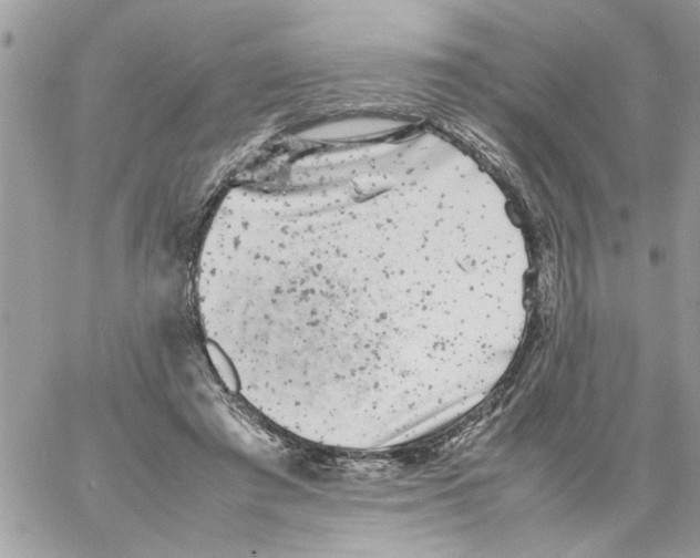 X0000061760401200512302309