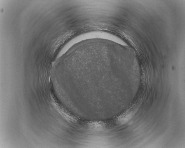 X0000061760402200512302309