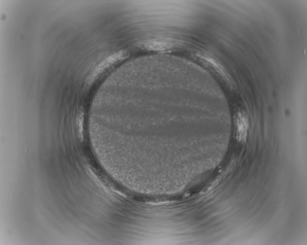 X0000061760404200512302309