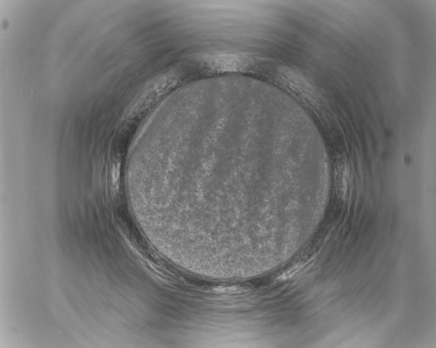 X0000061760406200512302309