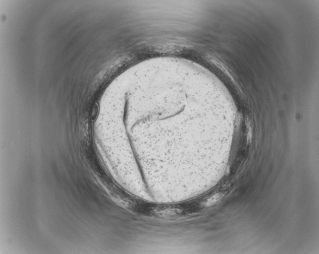 X0000061760407200512302309