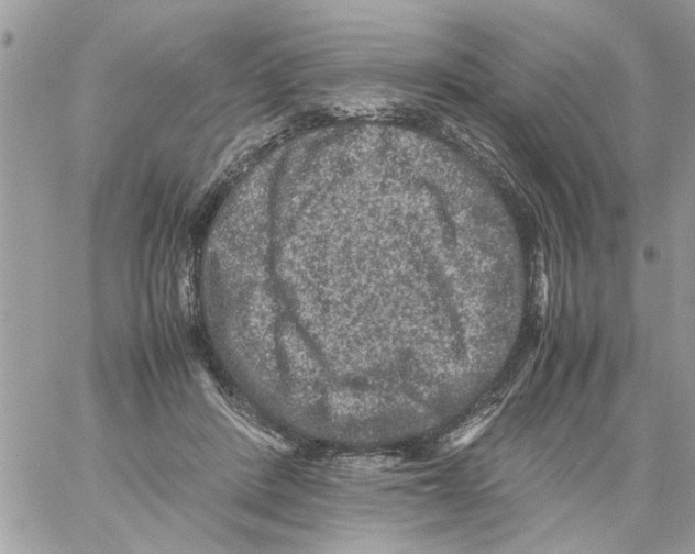 X0000061760408200512302309