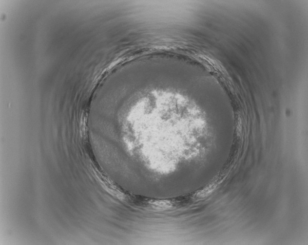 X0000061760409200512302309