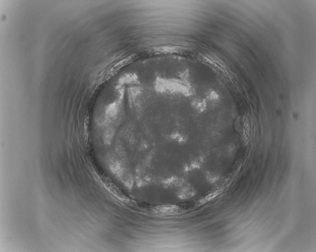 X0000061760410200512302309