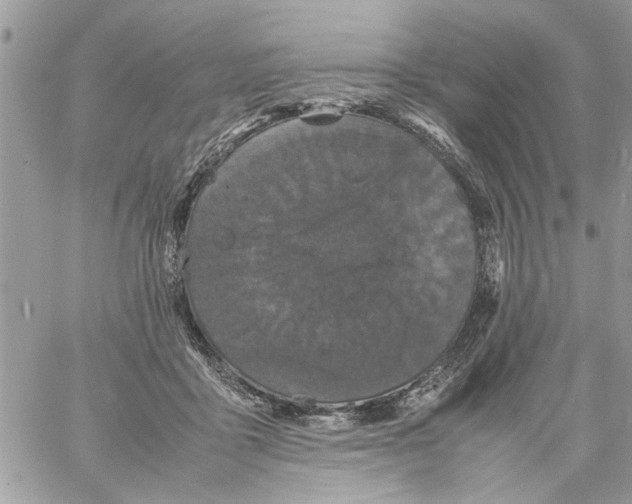 X0000061760411200512302308