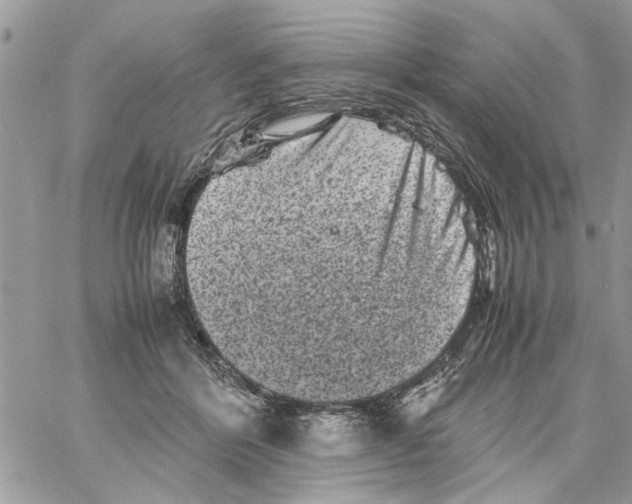 X0000061760412200512302308