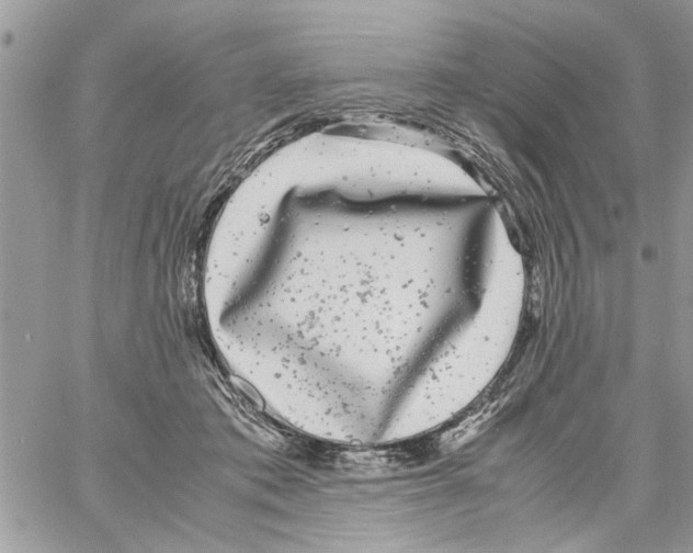 X0000061760413200512302308