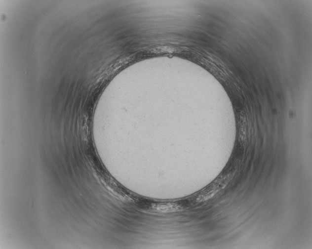 X0000061760414200512302308