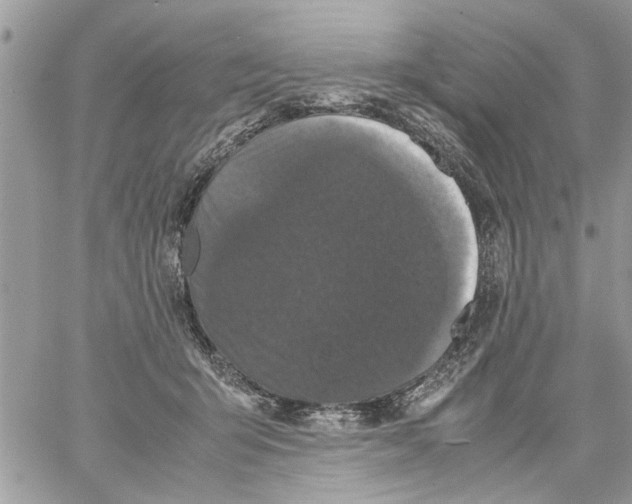 X0000061760415200512302308