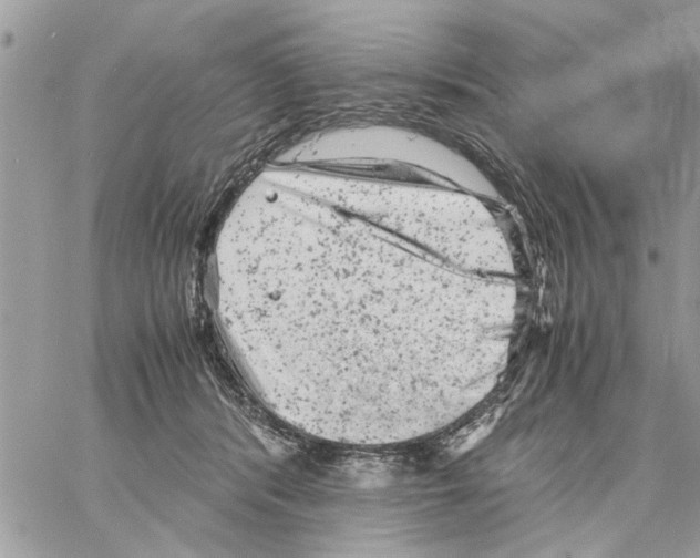 X0000061760416200512302308