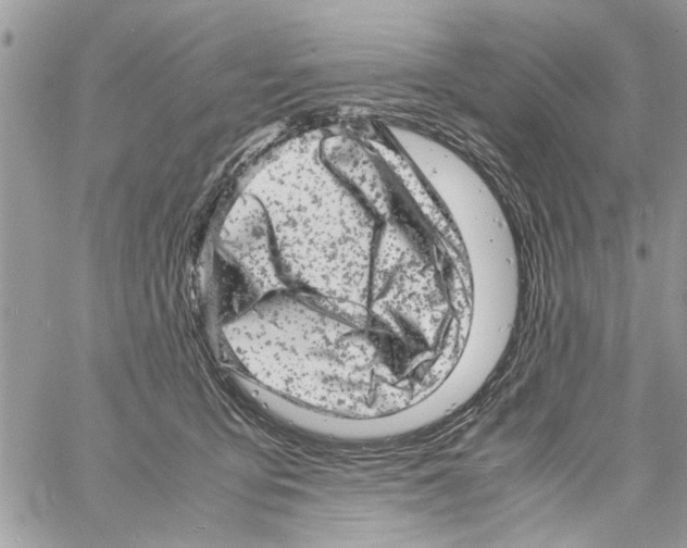 X0000061760419200512302308