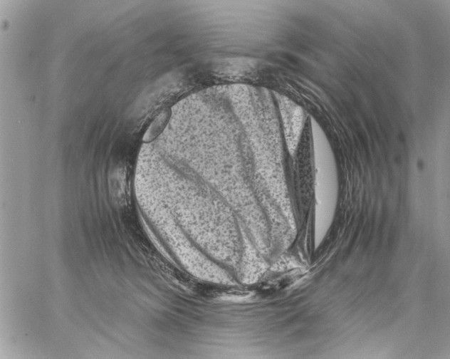 X0000061760420200512302308