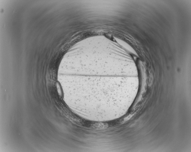 X0000061760421200512302308