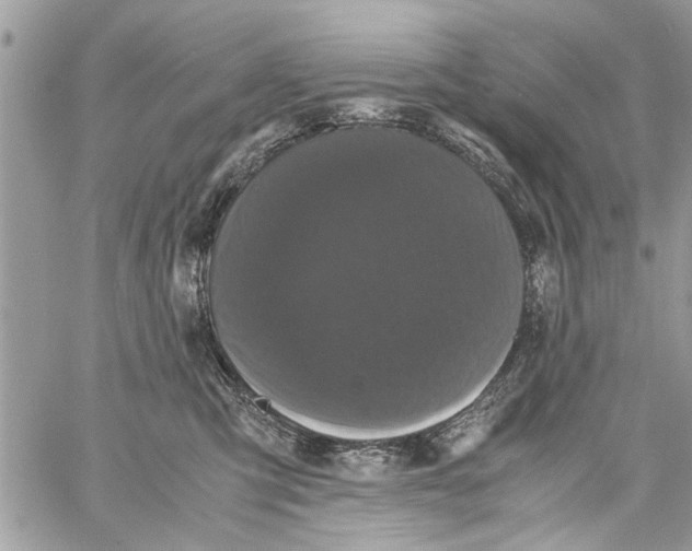 X0000061760423200512302308