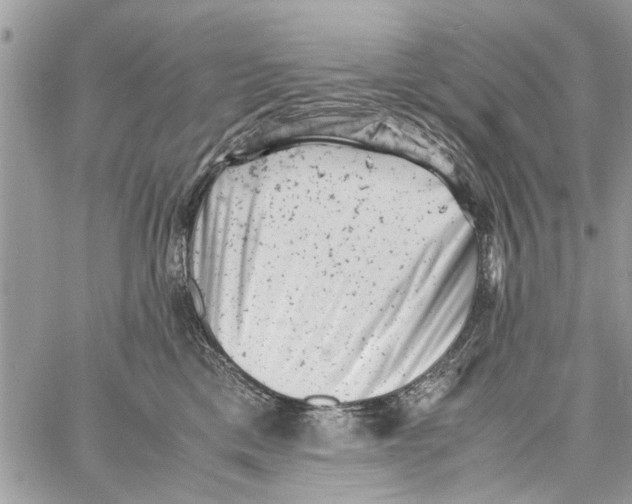 X0000061760425200512302308