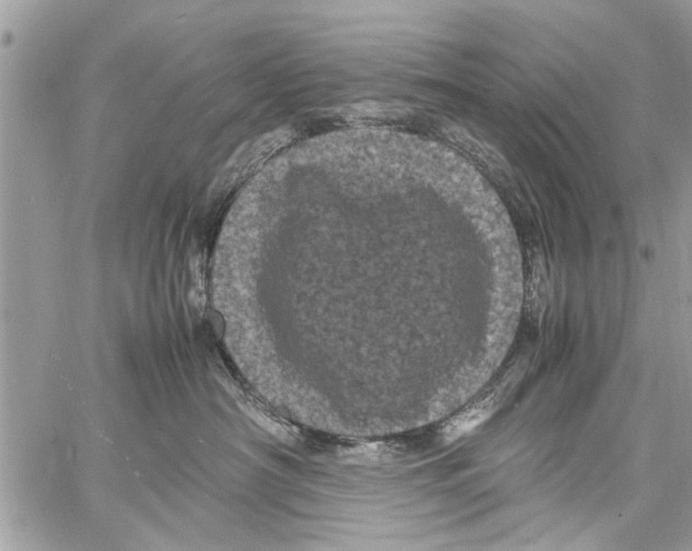 X0000061760430200512302308