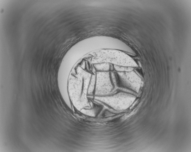 X0000061760432200512302308