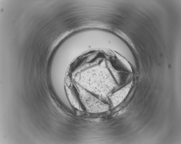 X0000061760436200512302307