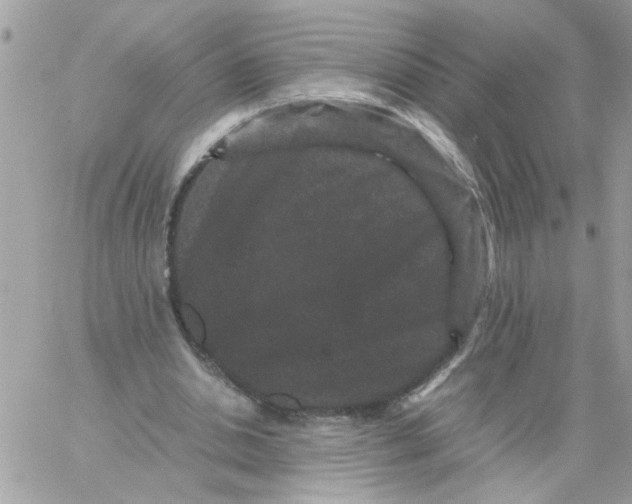 X0000061760438200512302307