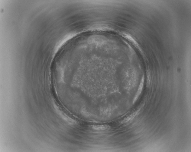 X0000061760439200512302307