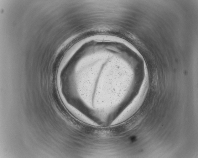 X0000061760440200512302307