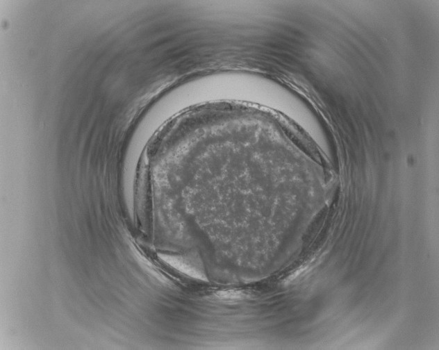 X0000061760441200512302307