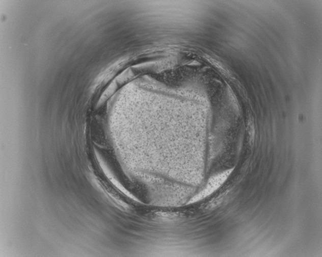 X0000061760442200512302308