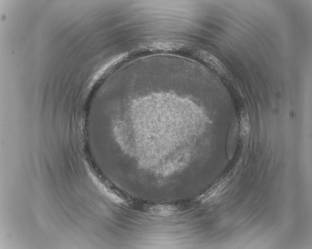 X0000061760444200512302308