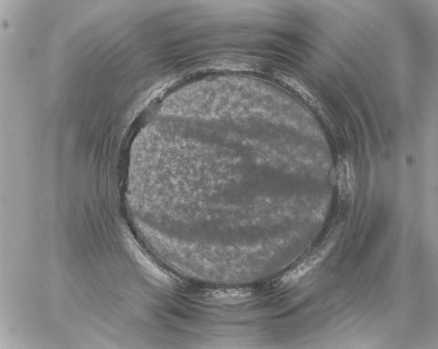 X0000061760445200512302308