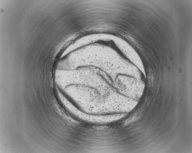 X0000061760446200512302308