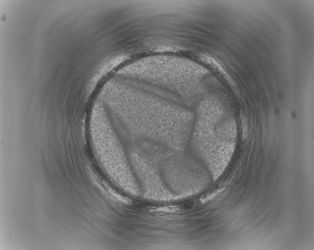 X0000061760447200512302308