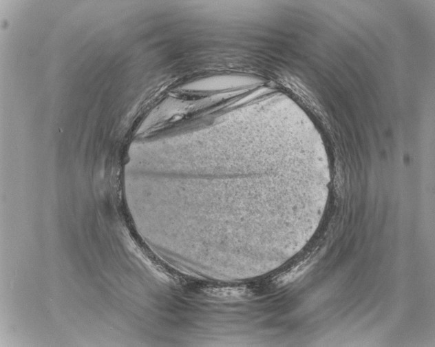 X0000061760449200512302308