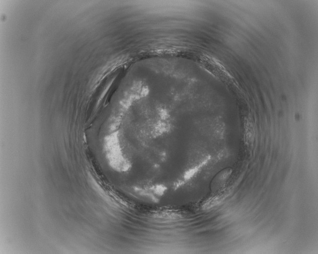 X0000061760451200512302308