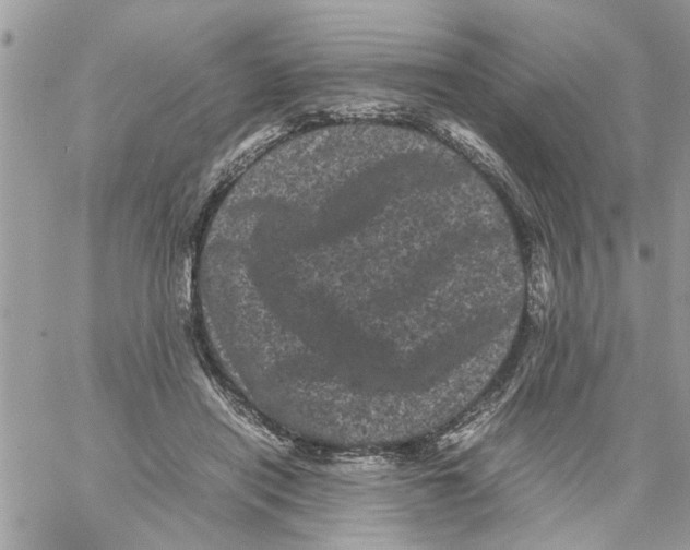 X0000061760454200512302308