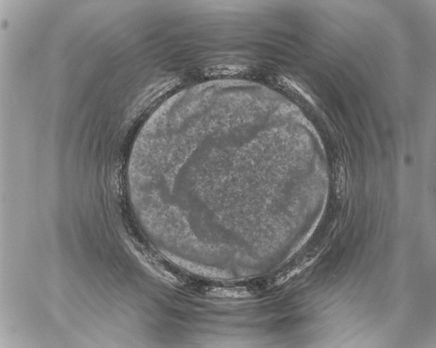 X0000061760455200512302308