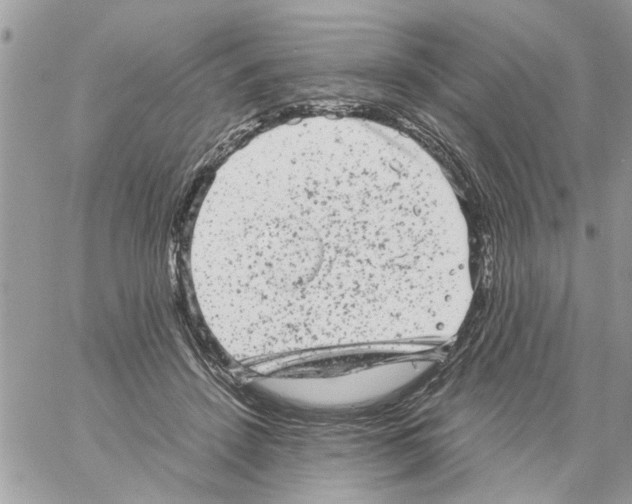 X0000061760456200512302308